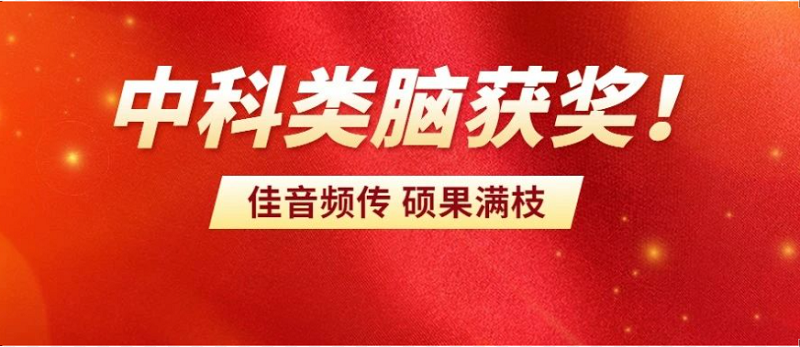 祝贺|中科类脑获得安徽省人工智能技术奖一等奖